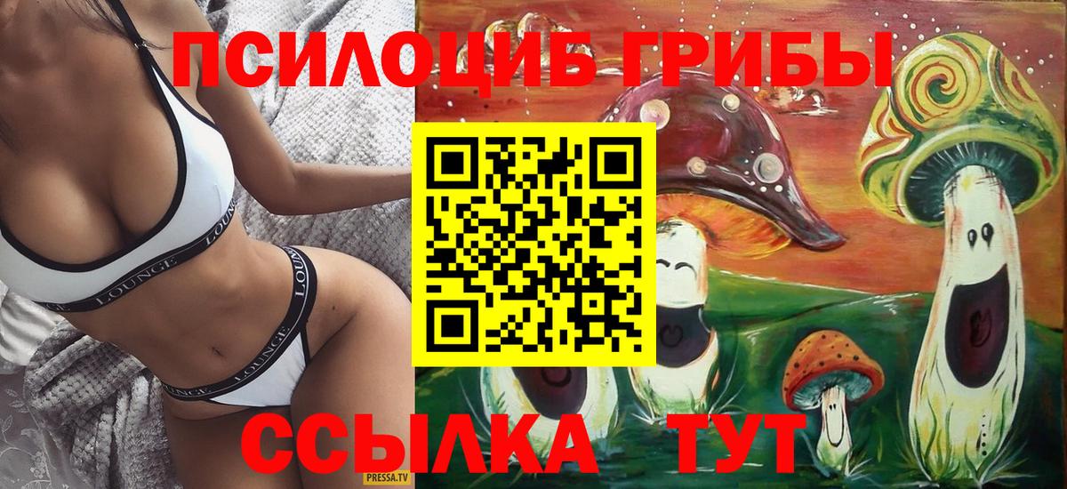 Псилоцибиновые грибы Psilocybe  Вход с VPN  закладка  Свободный 