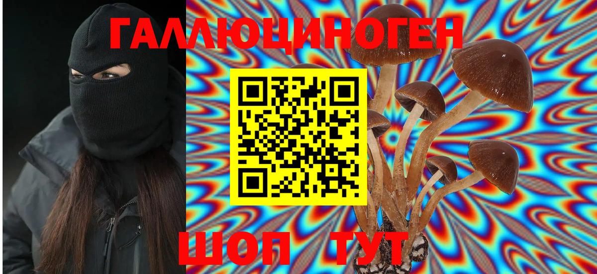 Псилоцибиновые грибы мухоморы Свободный